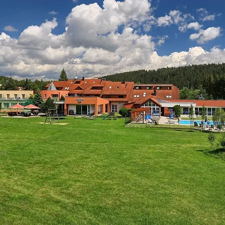 Zaton